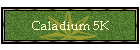 Caladium 5K