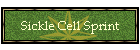 Sickle Cell Sprint