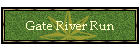 Gate River Run