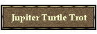 Jupiter Turtle Trot