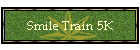 Smile Train 5K
